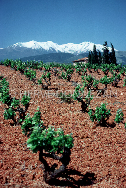 0008_ASPRES CANIGOU