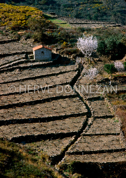 0016 BANYULS