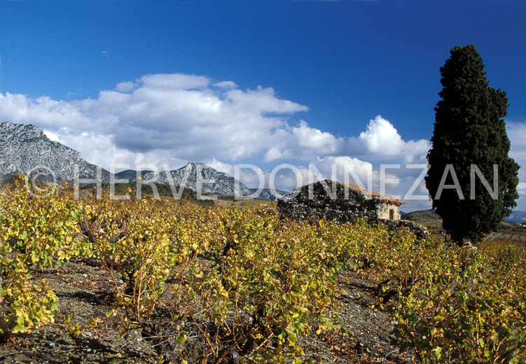 0315 CASOT CORBIERES