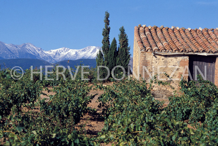 0431_19996_CASOT_CANIGOU