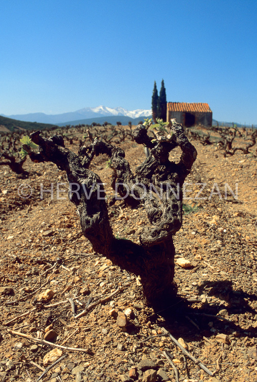 0437_47008_ASPRES_CASOT_CANIGOU