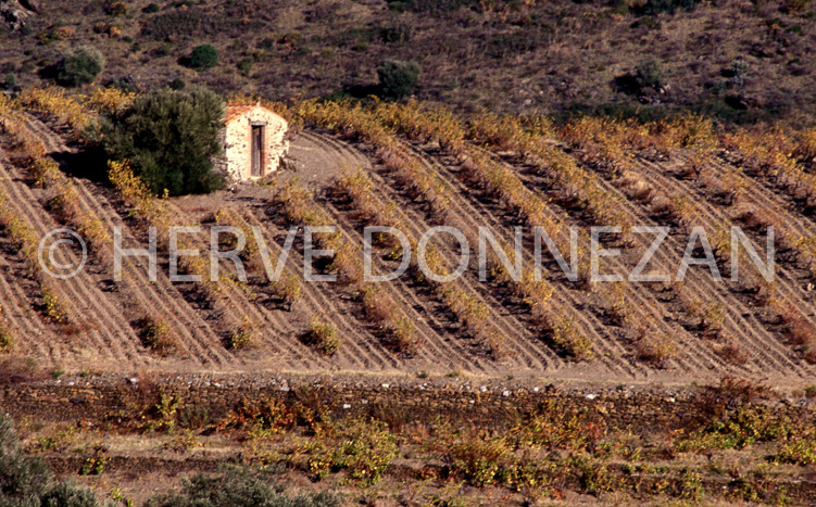 0690.19390 CASOT BANYULS