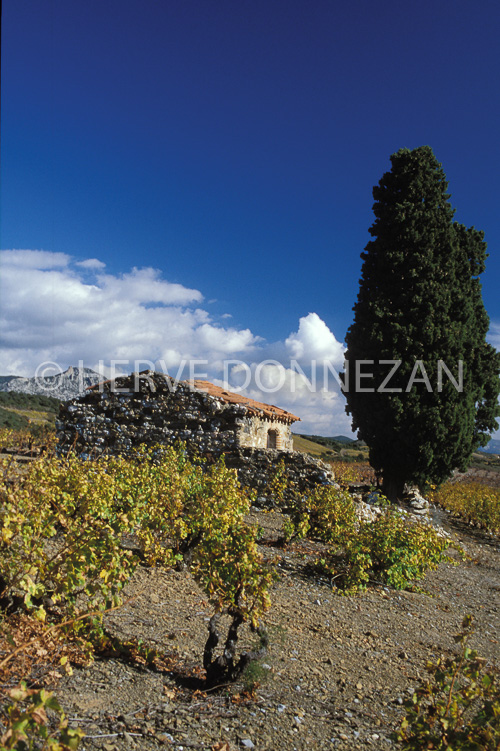 1136_19208 CASOT FENOUILLEDES