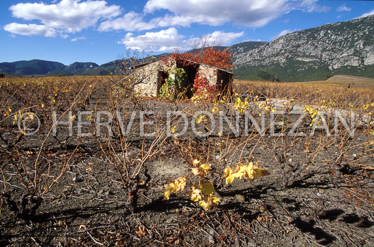 1143_19228_CASOT_FENOUILLEDES