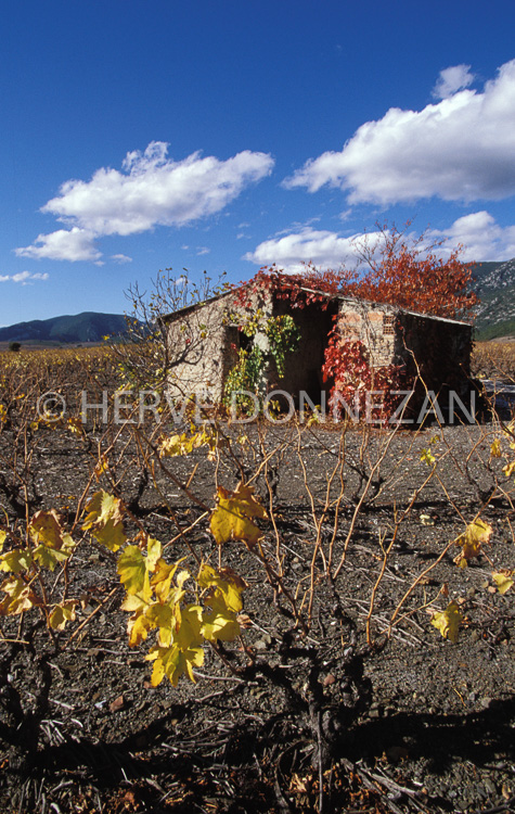 1147_19233_CASOT_FENOUILLEDES