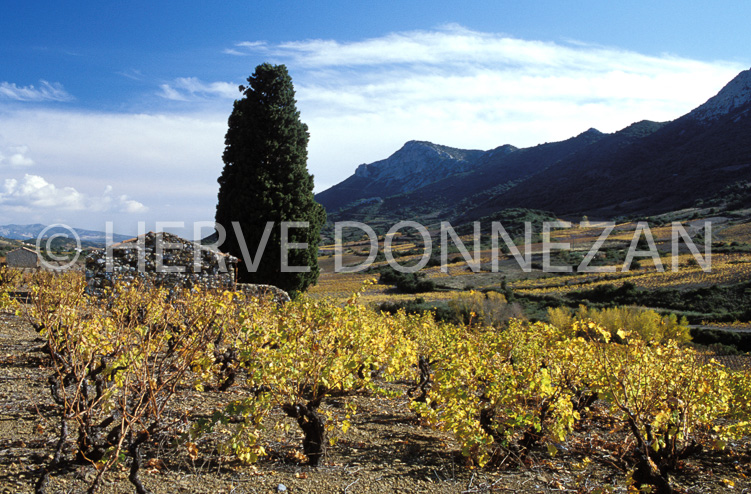 1148_19234_CASOT_FENOUILLEDES
