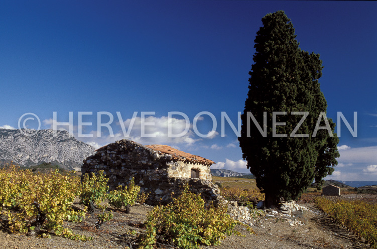 1154_19241_CASOT_FENOUILLEDES