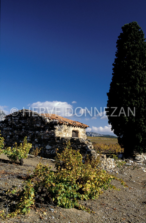 1155_19242_CASOT_FENOUILLEDES