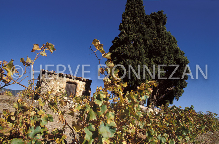 1165_19253_CASOT_FENOUILLEDES