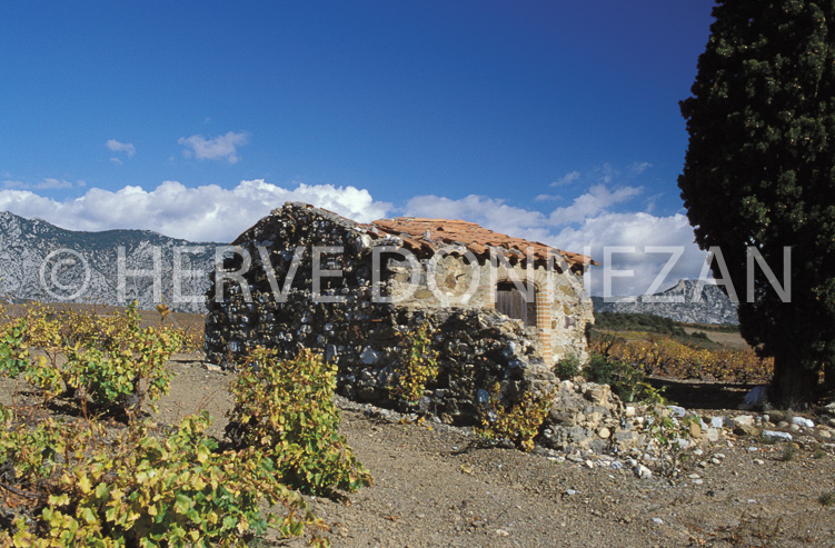 1190_19291_CASOT_FENOUIL