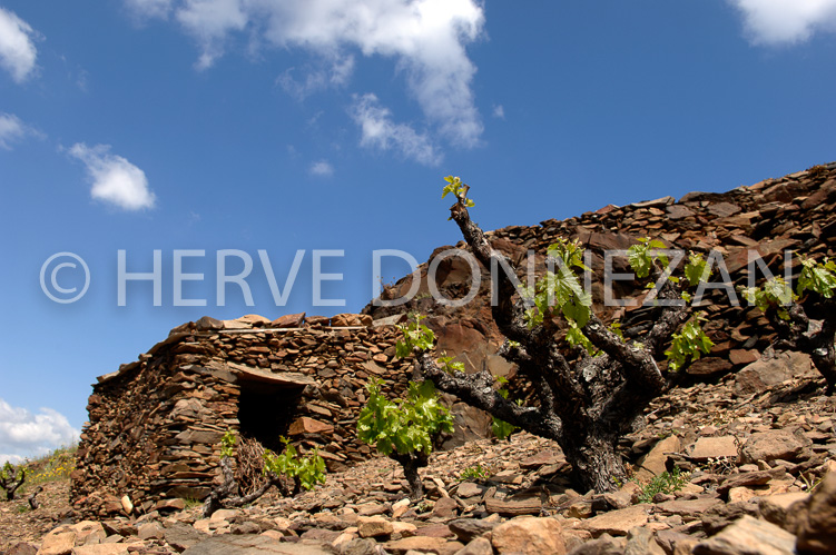 1808_49111_BANYULS_CAST