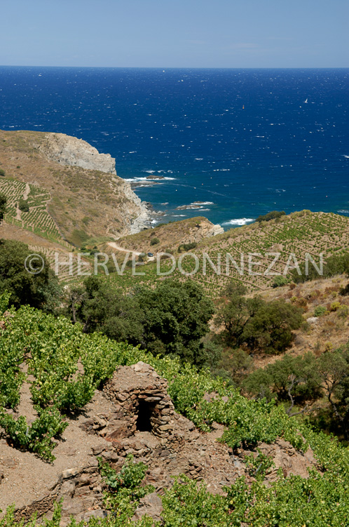 1970_4777_CASOT PIERRE_BANYULS