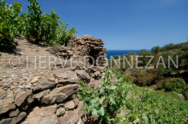 1972_4783_BANYULS_CASOT