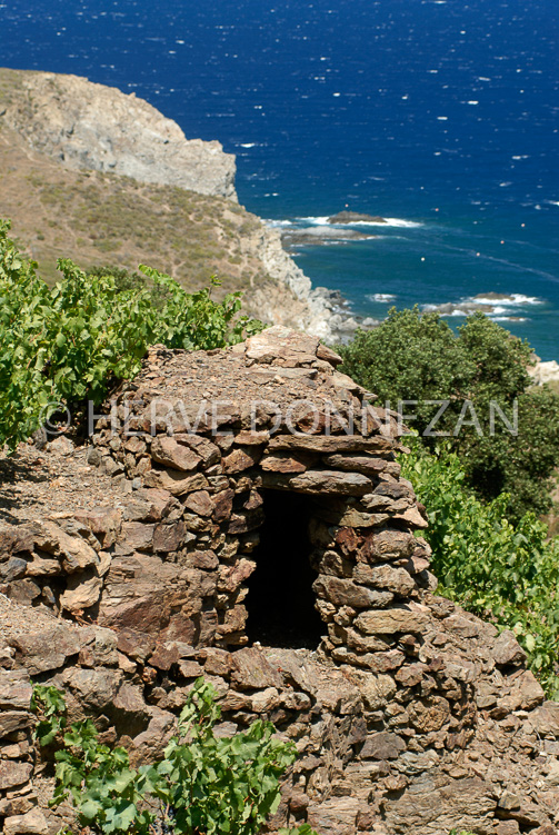 1991_4799_BANYULS_LORIE