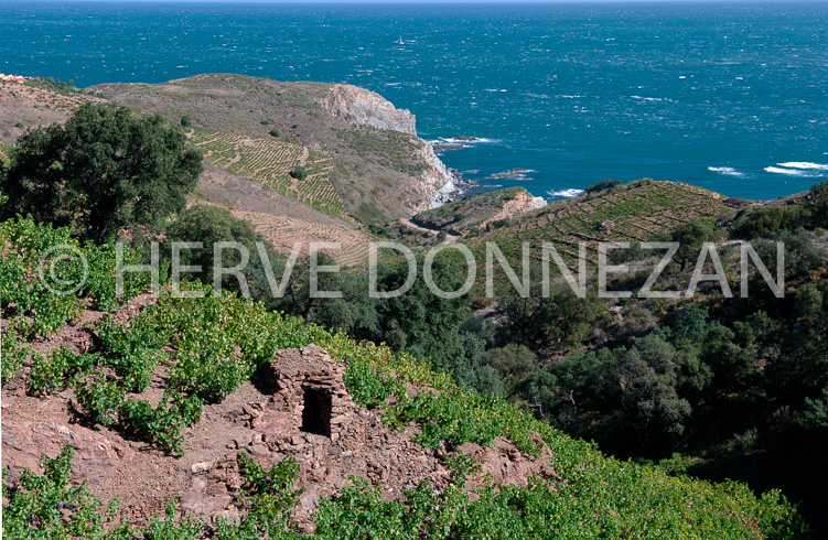 2090-52103BANYULS_CASOT