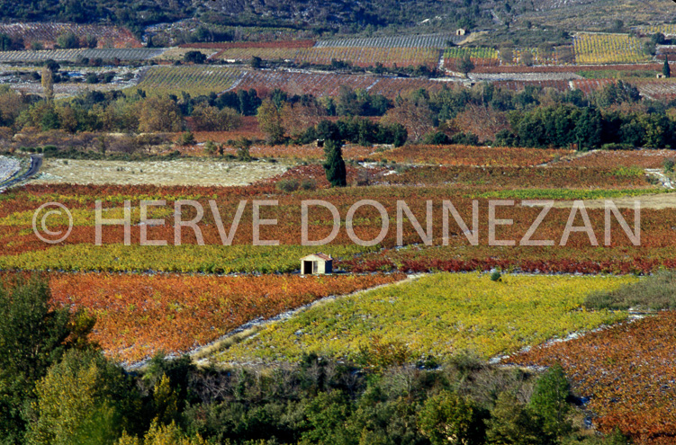 2274_35475_CASOT FENOUILLEDES