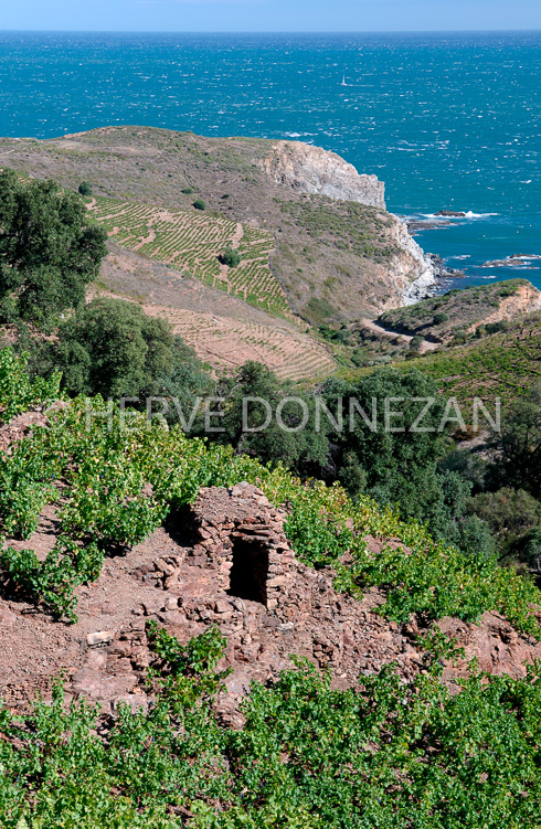 2418_52105_CASOT_BANYULS