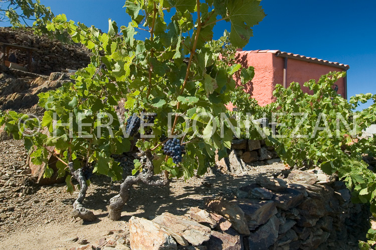 2773_46803_CASOT_R