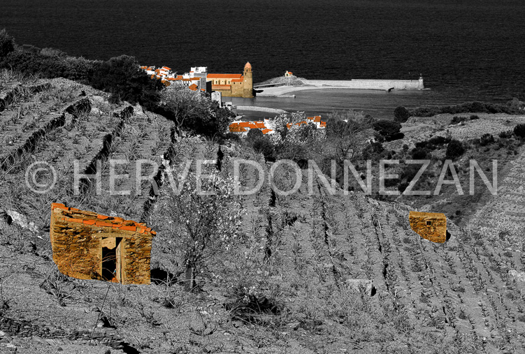 2947_63621_COLLIOURE