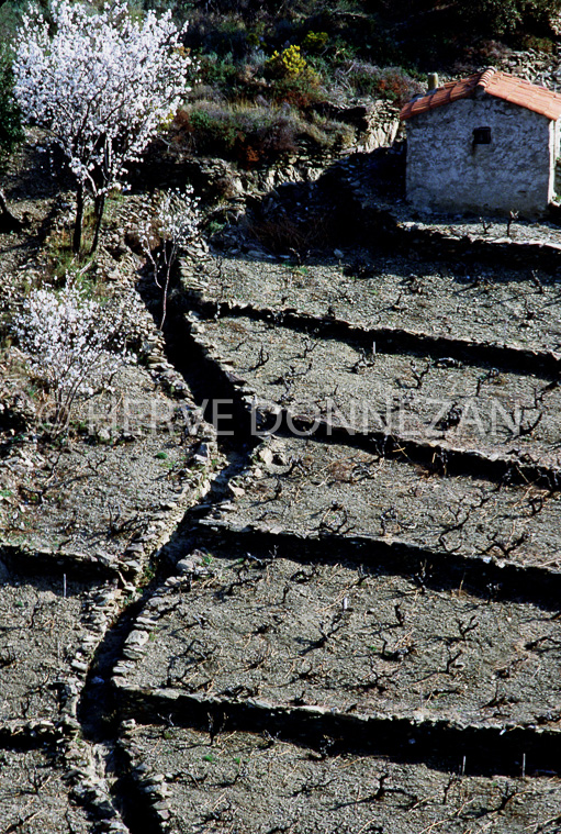 0104 BANYULS HIVER 