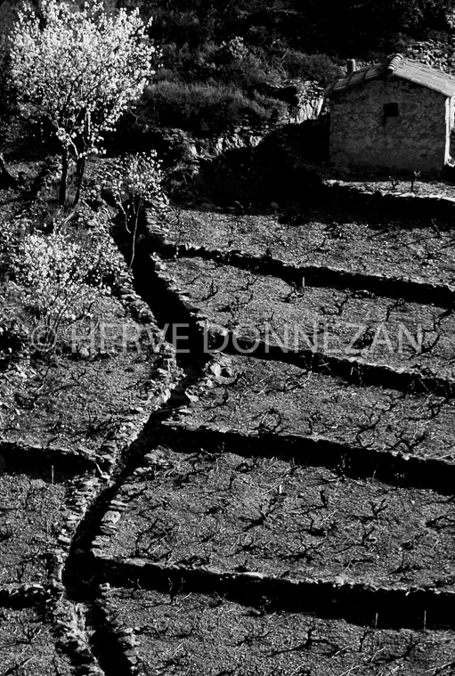 0104 BANYULS HIVER BN 