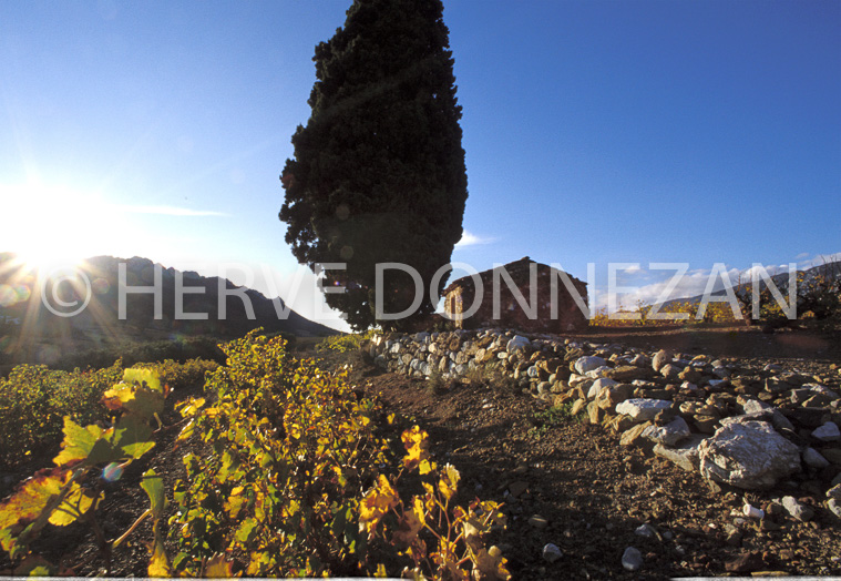 0316 CASOT ROUSSILLON F