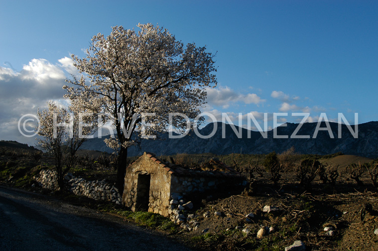 0583-0021407_FENOUILLEDES_