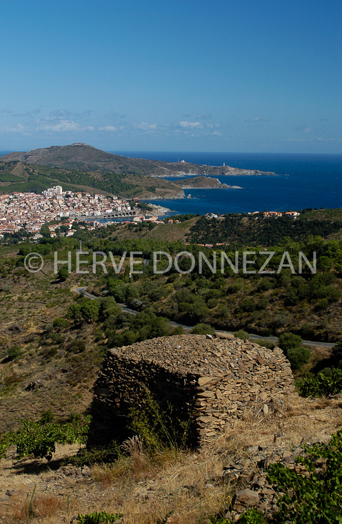 0858_5836 BANYULS LORIE-CAP BEAR