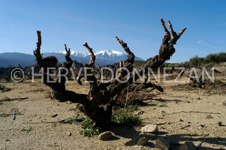0867-22298_CEP_CANIGOU