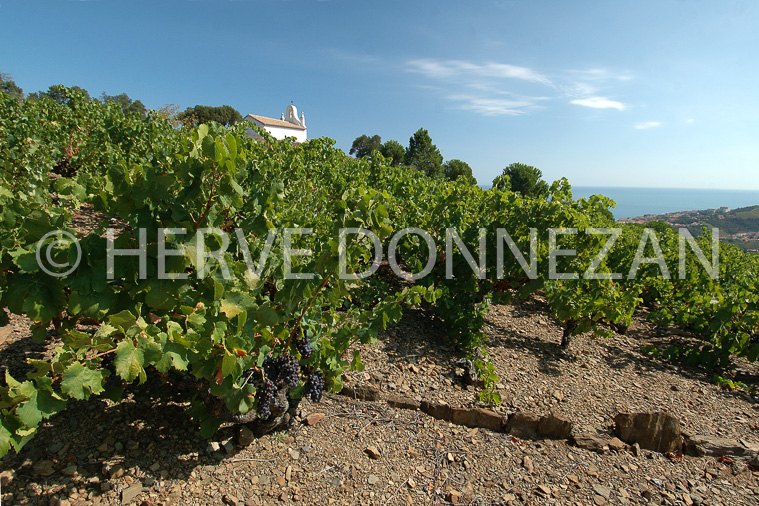 0904_33225 BANYULS SALETTE