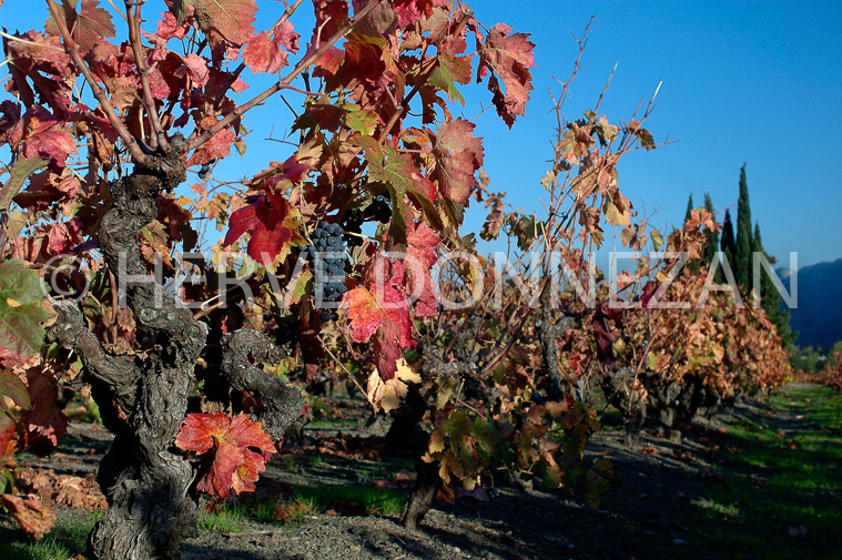 1116_35218_CEP_AUTOMNE