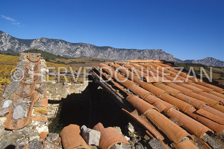 1152_19239_CASOT_FENOUILLEDES_