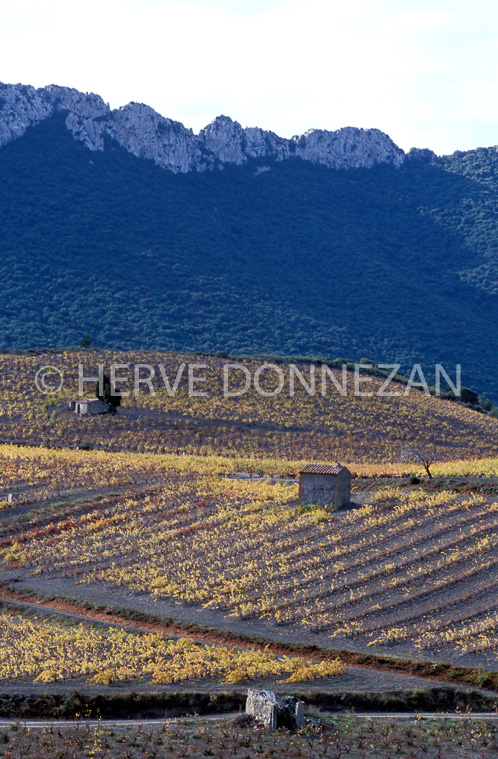 1171_19264_CASOT_FENOUILLEDES_