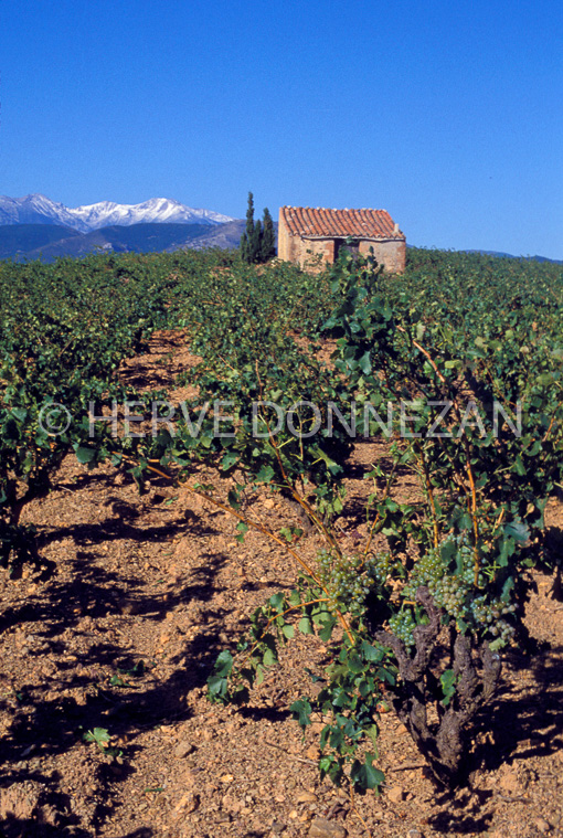 1223_19974_ASPRES_CANIGOU