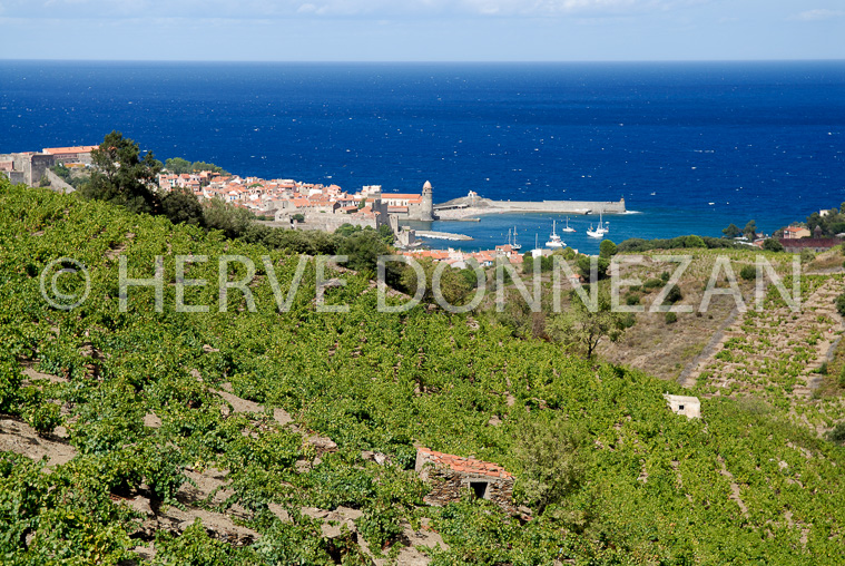 2174_52283_COLLIOURE_CASOT_