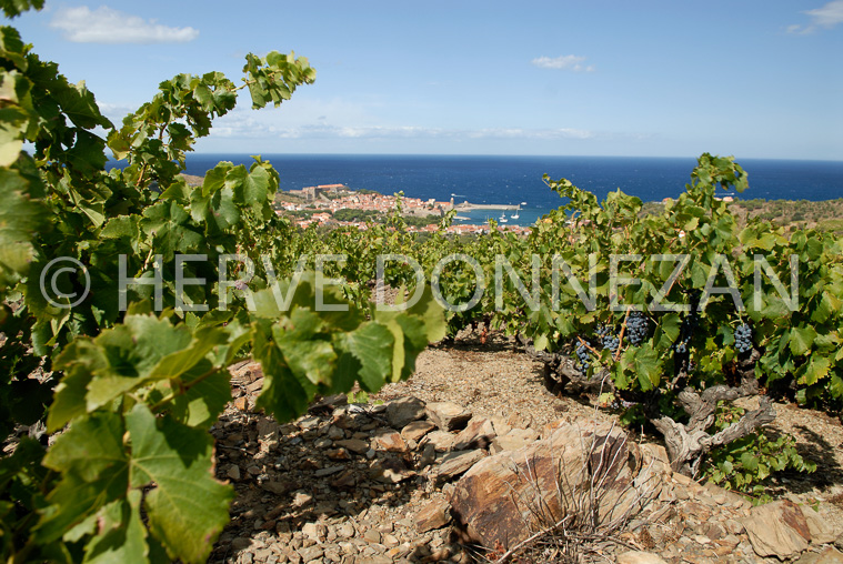 2177_52320_COLLIOURE