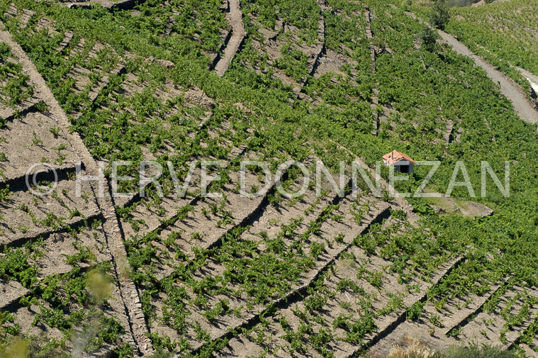 2321_26603_BANYULS_CASOT_