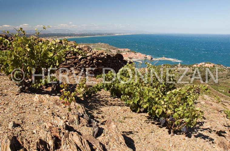 2386_46777_COLLIOURE