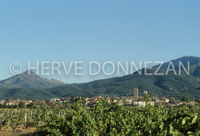 2718_40144_ARGELES_ALBERES