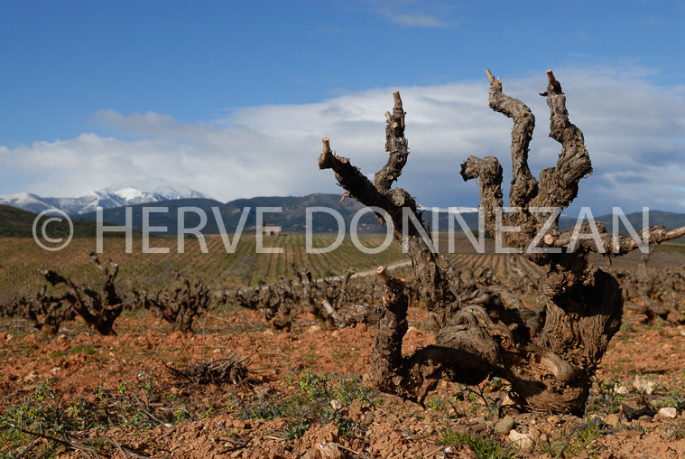 2744_46214_ASPRES_CEP_