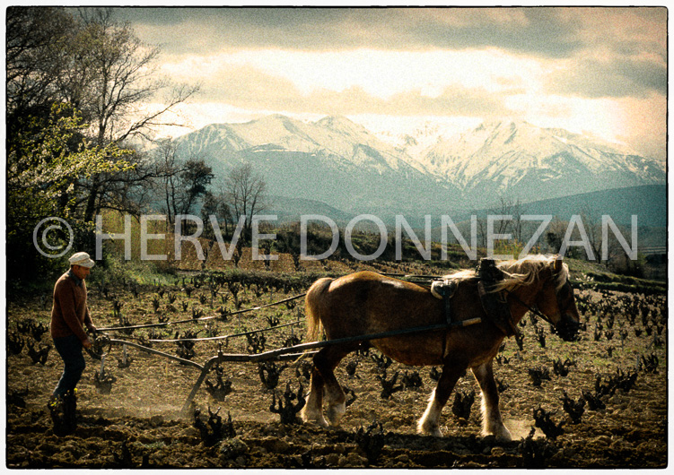 0330_18202_CANIGOU_LABOUR-AUTOCHROM